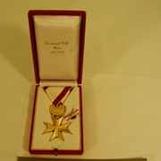 Cover image of  Medal